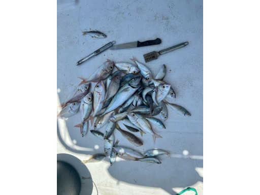 Manthos Fishing Trip Agia Galini