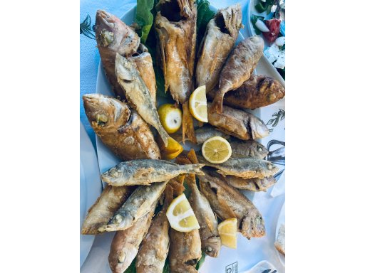 Manthos Fishing Trip Agia Galini