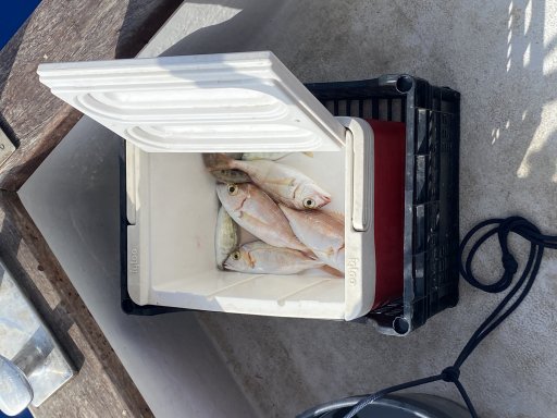 Manthos Fishing Trip Agia Galini