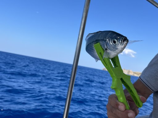 Manthos Fishing Trip Agia Galini