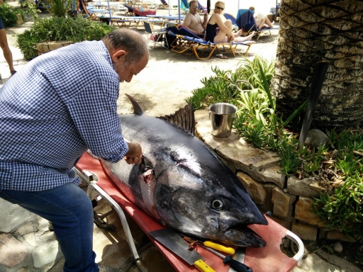 Taverna Kostas Agia Galini, Beach