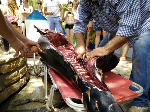 Taverna Kostas Agia Galini, Beach