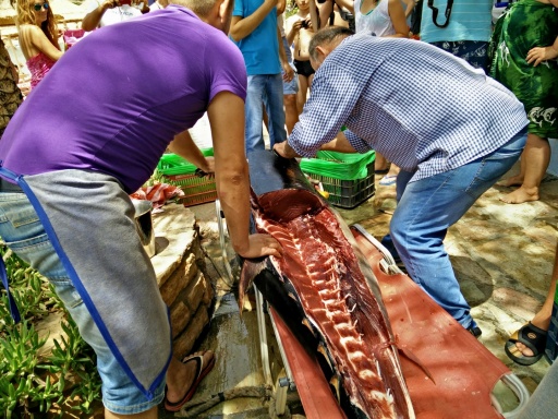Taverna Kostas Agia Galini, Beach