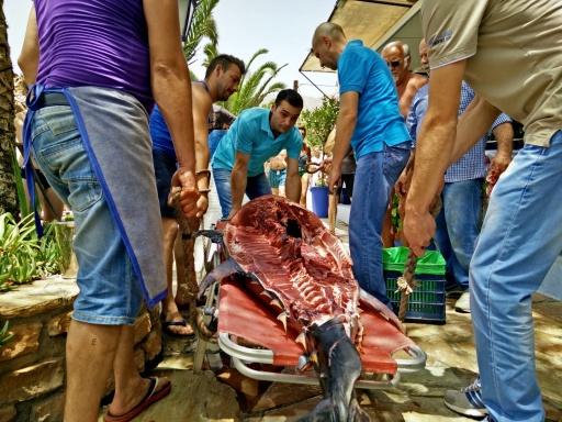 Taverna Kostas Agia Galini, Beach