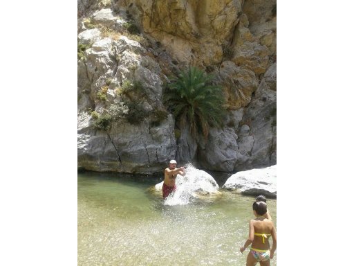 Sacturis Daily Cruises Agia Galini, Port