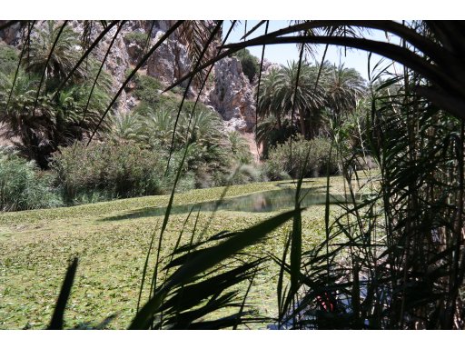 Sacturis Daily Cruises Agia Galini, Port