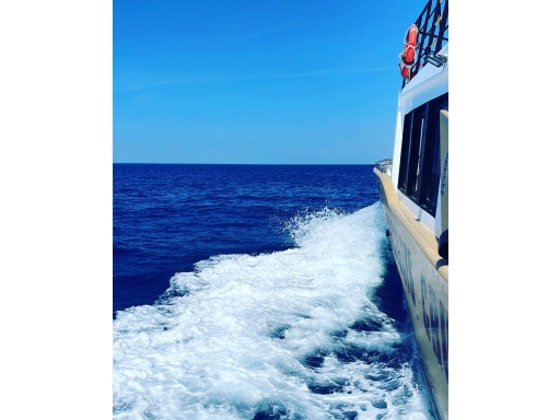 Sacturis Daily Cruises Agia Galini, Port