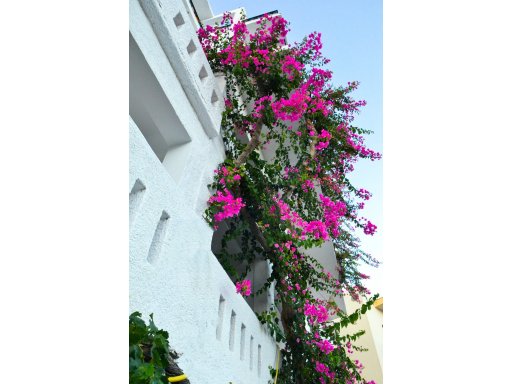 Hotel Iro Agia Galini